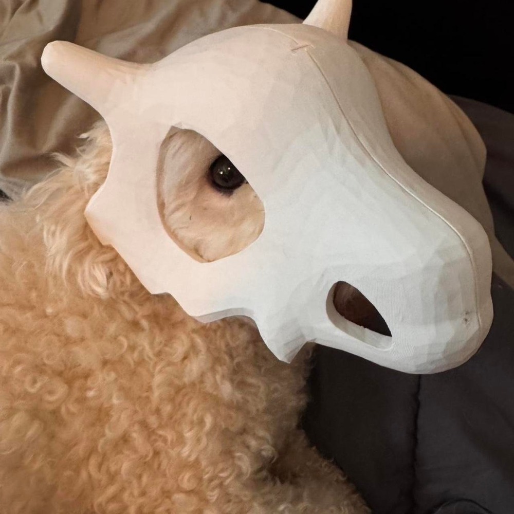 Small Pet Hat